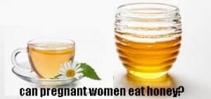 manfaat madu untuk ibu hamil source facts-about-bees ml