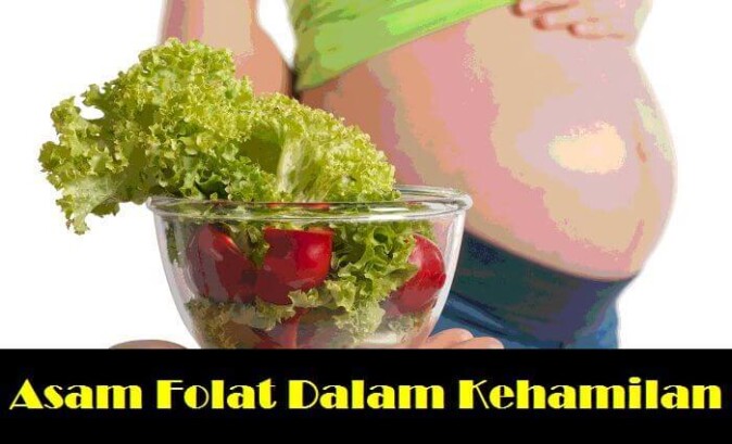 Asam Folat untuk ibu hamil 4