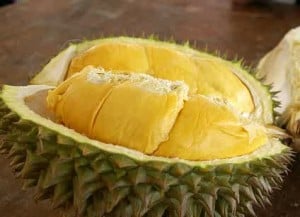 Ibu hamil makan durian