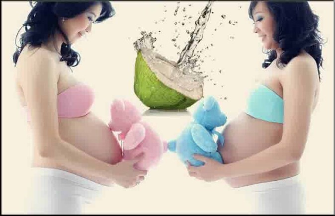 Air Kelapa untuk Ibu Hamil 4