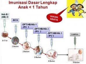 jenis imunisasi untuk bayi 2
