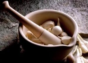 khasiat bawang putih manfaat bawang putih