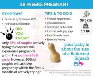 hamil 28 minggu tips
