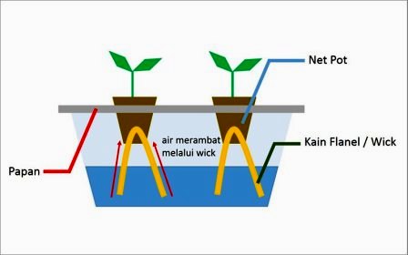 cara menanam hidroponik dengan sistem wick