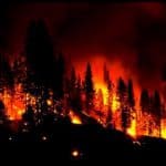 Arti Mimpi Kebakaran Arti Mimpi Kebakaran hutan rumah pabrik