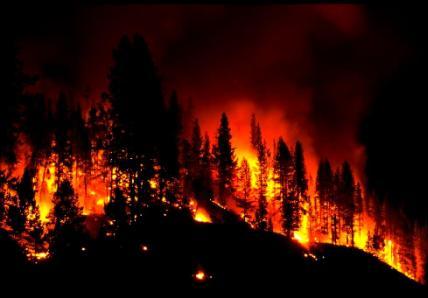 Arti Mimpi Kebakaran Arti Mimpi Kebakaran hutan rumah pabrik