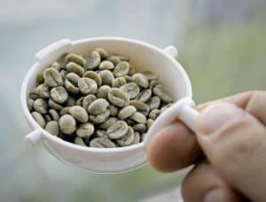 efek samping green coffee dampak efek samping green coffee dampak efek samping green coffee dampak dampak buruk