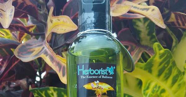 manfaat minyak zaitun herborist