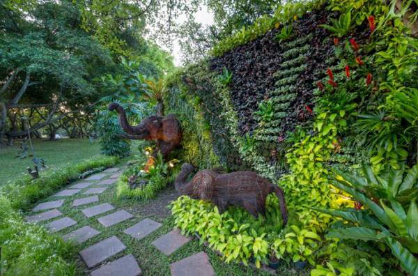 Jenis Tanaman untuk Taman Depan Rumah Jasa Taman Jogja, Ide, Jenis dan Cara Merawat Taman Depan Rumah | HamilPlus.Com jenis tanaman untuk taman depan rumah Jasa Taman Jogja